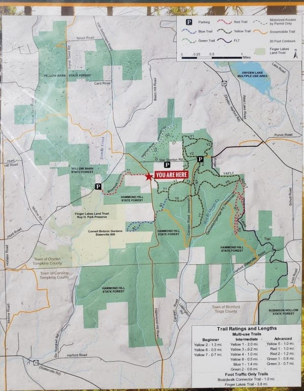Hammond Hill State Forest