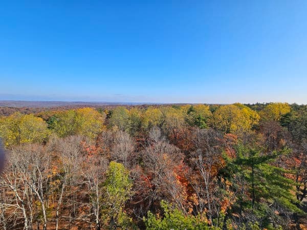 Harrison-Crawford State Forest