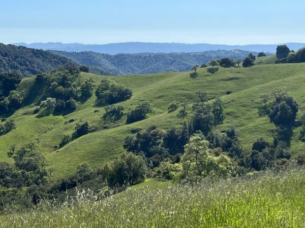 Henry W. Coe State Park