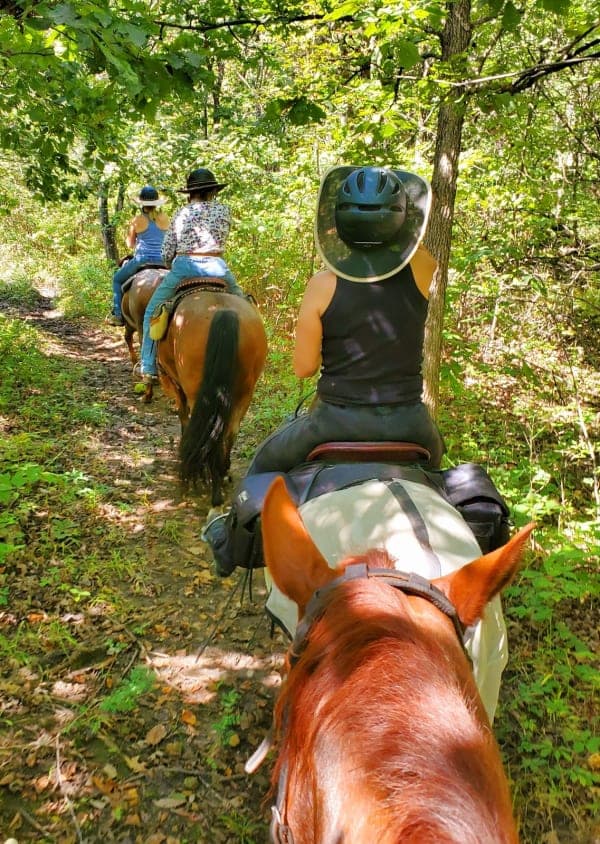 Hillsdale State Park / Saddle Ridge Equestrian Area