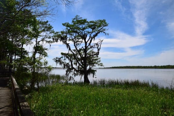 Historic Blakeley State Park