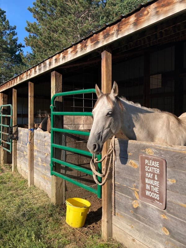 Huntersville State Forest / Shell City Horse Campground