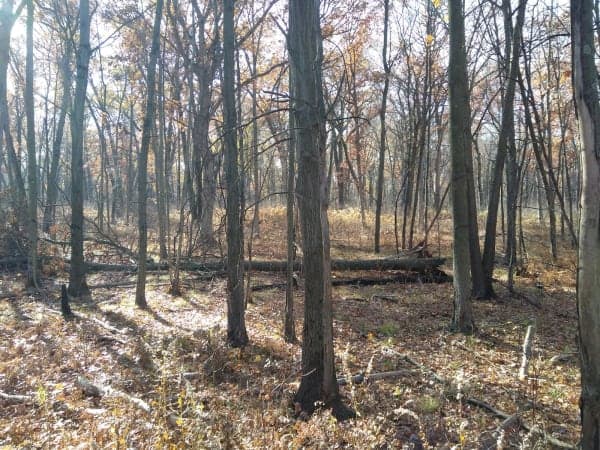 Indiana Dunes National Park - Glenwood Dunes
