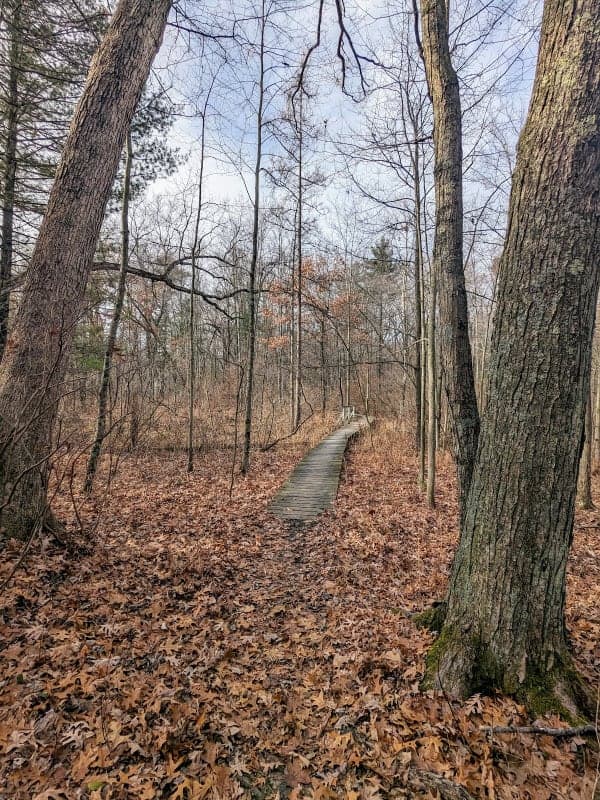 Ionia State Recreation Area