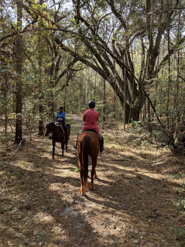 Jericho Horse Trail