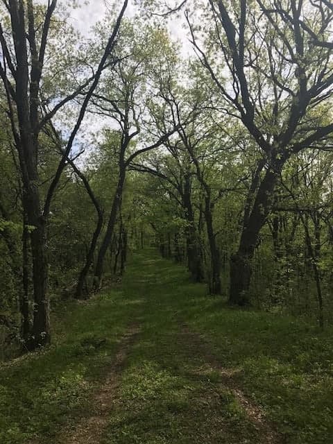 Kettle Moraine State Forest – Southern Unit
