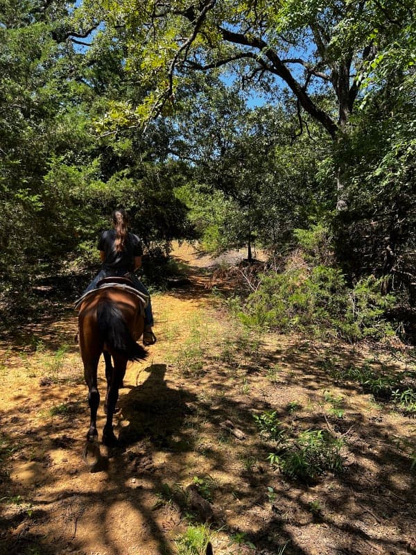Lake Murray State Park & Lake Murray Riding Stables