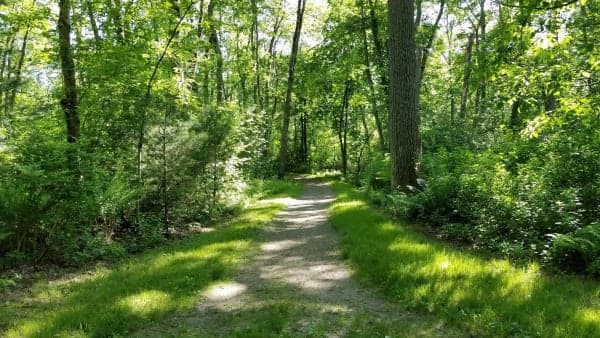 Bradley Palmer State Park