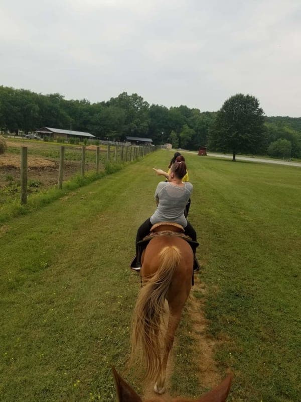 Land Between the Lakes Wranglers Riding Stables