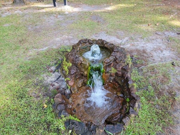 Lee State Park