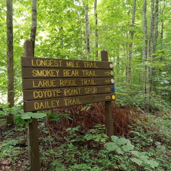 Lone Mountain State Forest