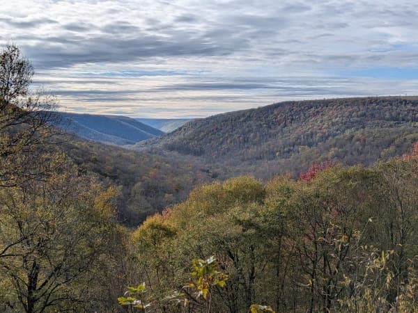 Loyalsock State Forest