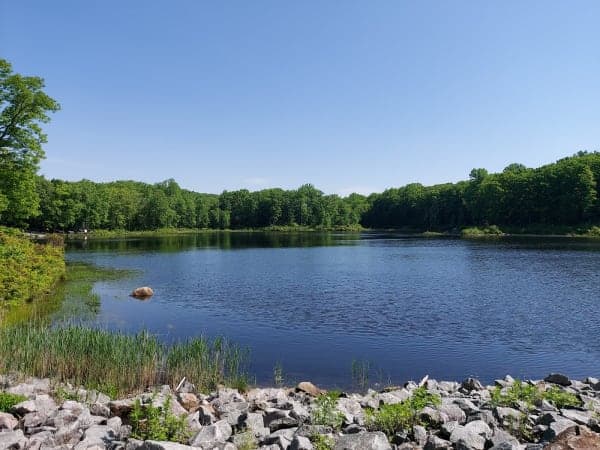Mahlon Dickerson Reservation