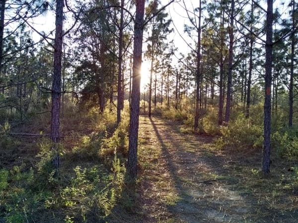 Marjorie Harris Carr Cross Florida Greenway