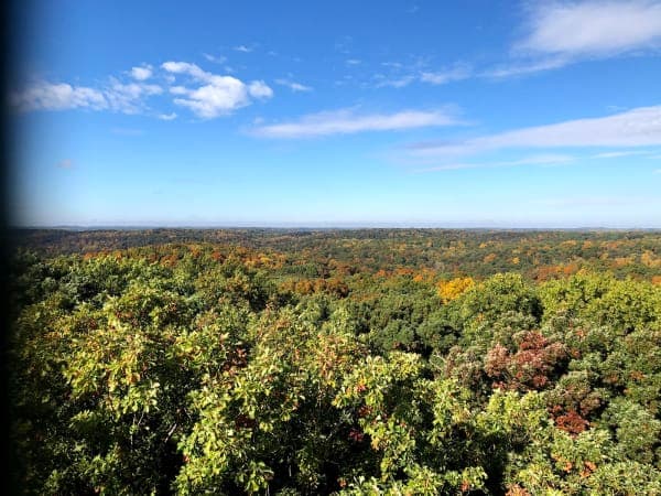 Martin State Forest