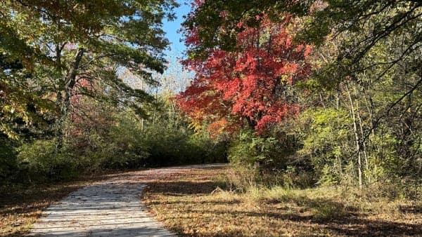 Marina Main Trail