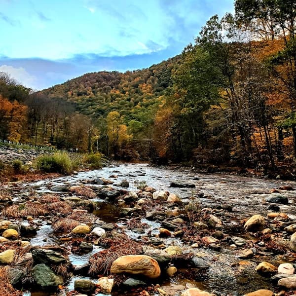 Mohawk Trail State Forest