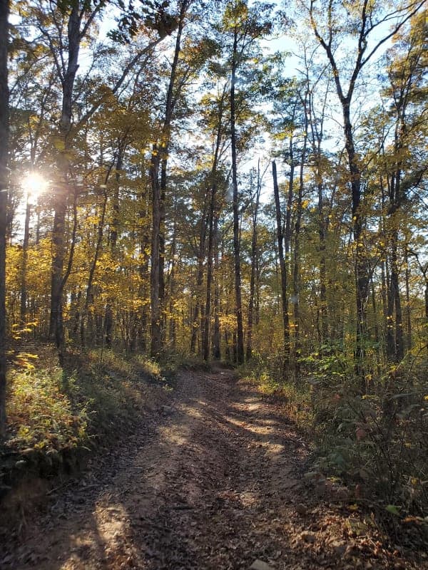 Moccasin Gap Trail System