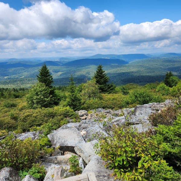 Monongahela National Forest - West Fork Trail