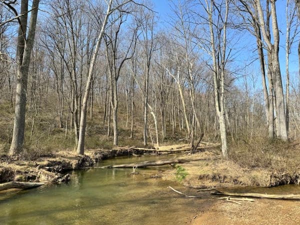 Morgan Run Natural Environment Area