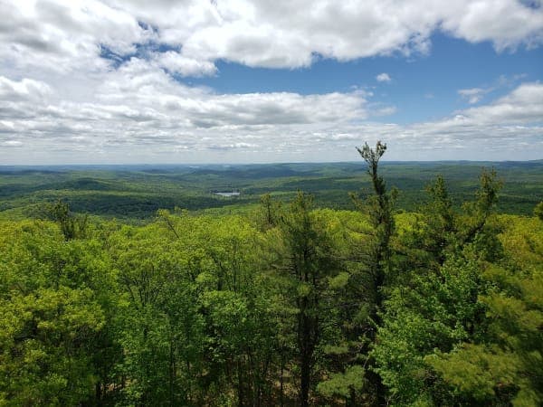 Mount Grace State Forest