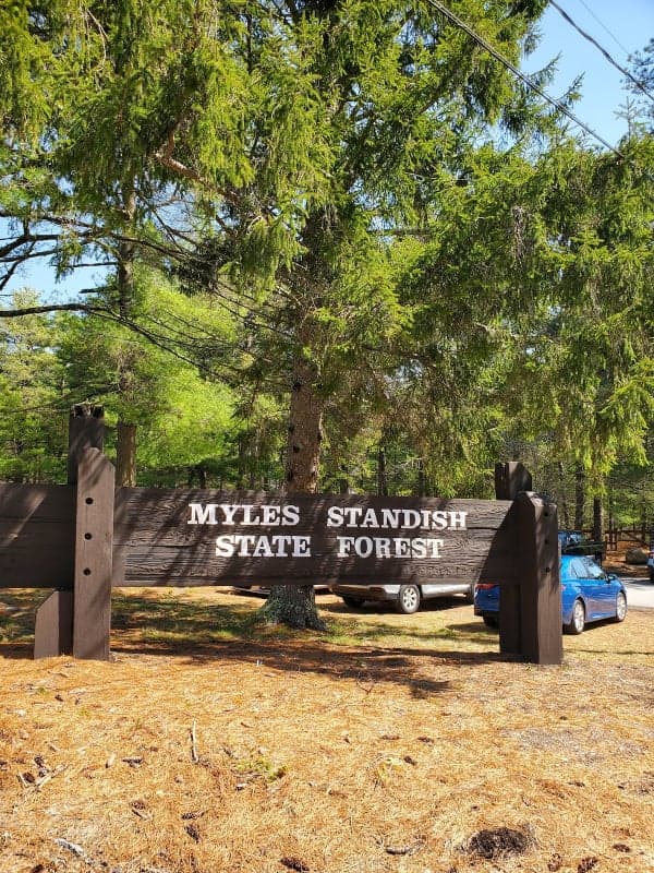 Myles Standish State Forest