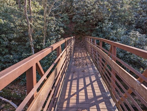 Nantahala National Forest / Bristol Fields Horse Camp