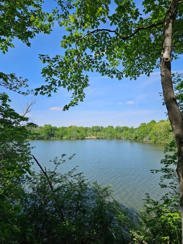 Newton Lake State Fish & Wildlife Area