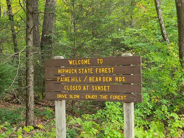 Nipmuck State Forest