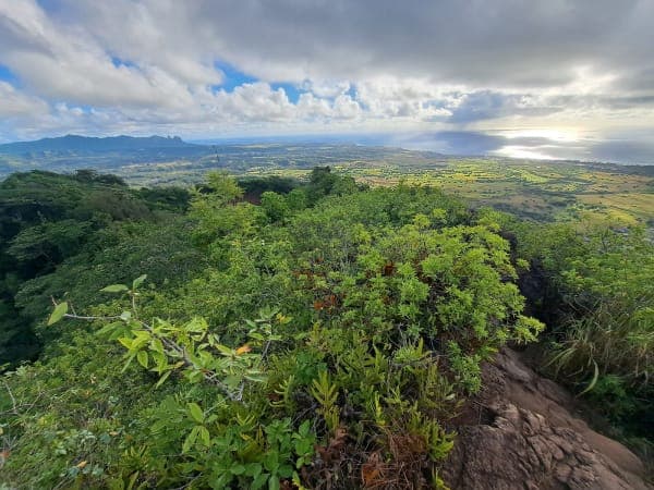Nounou Forest Reserve / Kuamoʻo-Nounou Trail