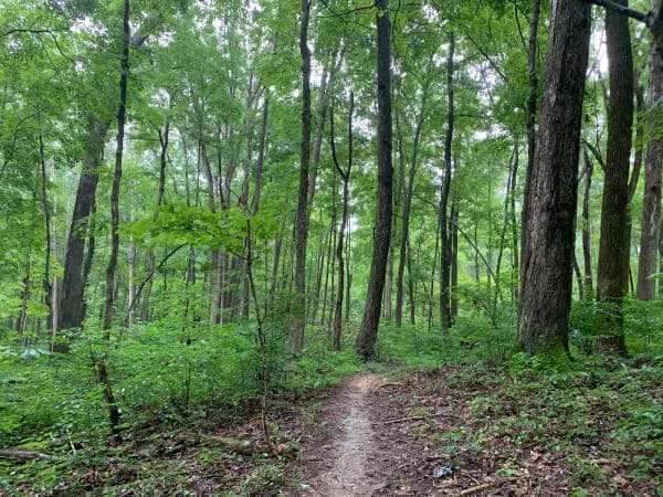 O'Bannon Woods State Park