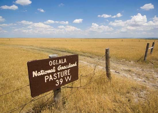 Oglala National Grassland