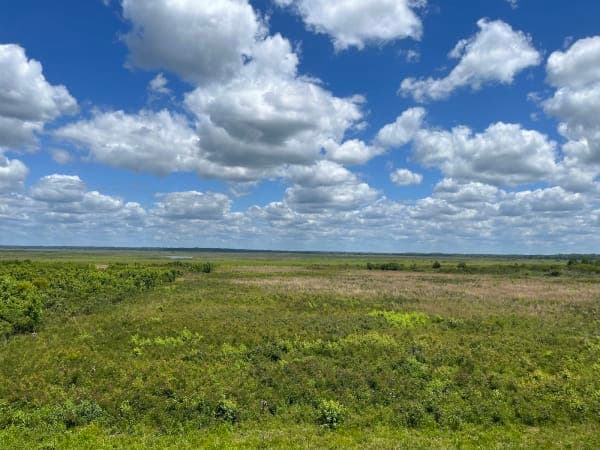 Paynes Prairie Preserve State Park