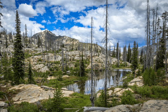 Payette National Forest