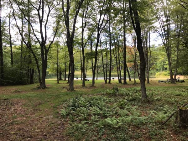 Pearl Hill State Park
