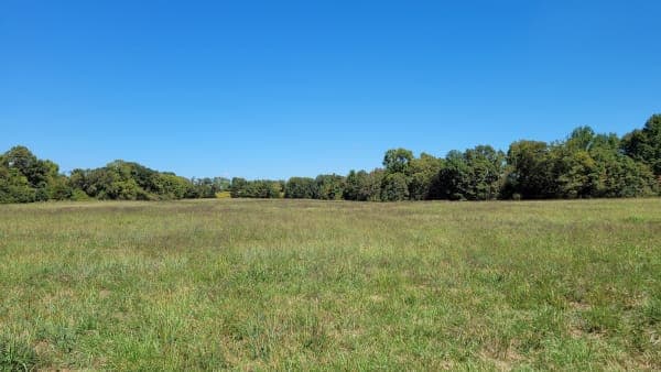 Peeler Park Equestrian Trails