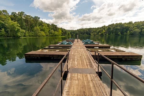 Pennyrile Horse Campground