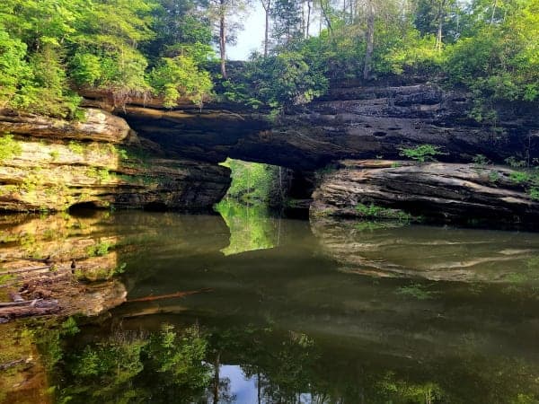 Pickett CCC Memorial State Park & Pickett State Forest