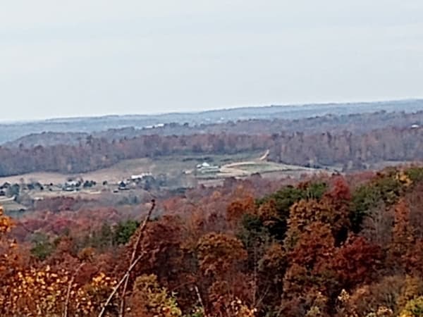 Pike State Forest