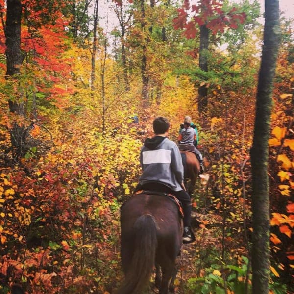 Pillsbury State Forest / Walter E. Stark Horse Campground
