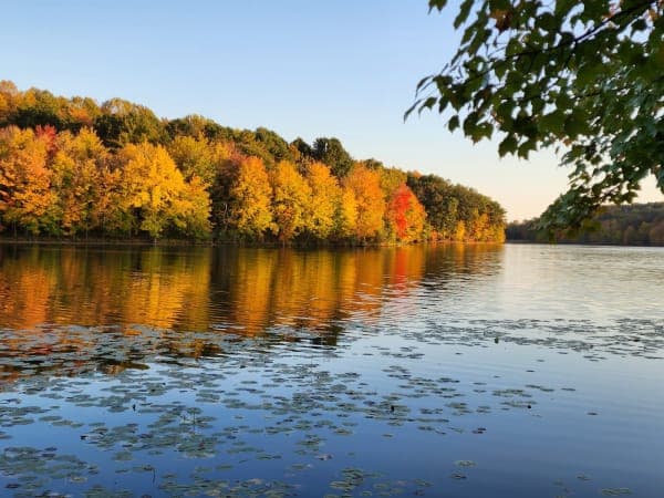 Piney Run Park