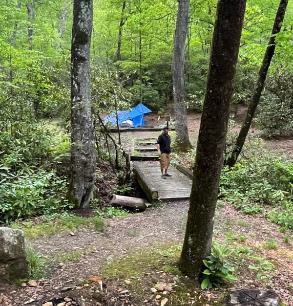 Pisgah National Forest / Wash Creek Horse Camp
