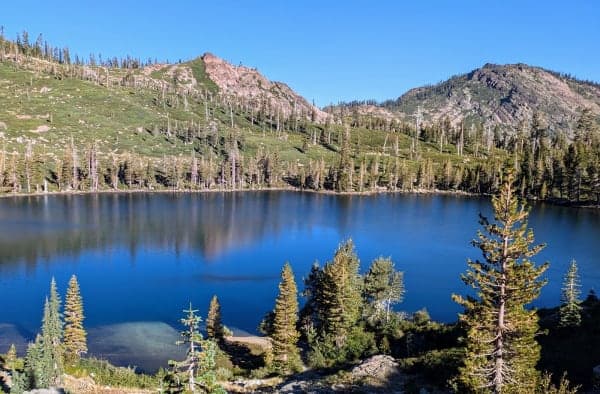Plumas National Forest