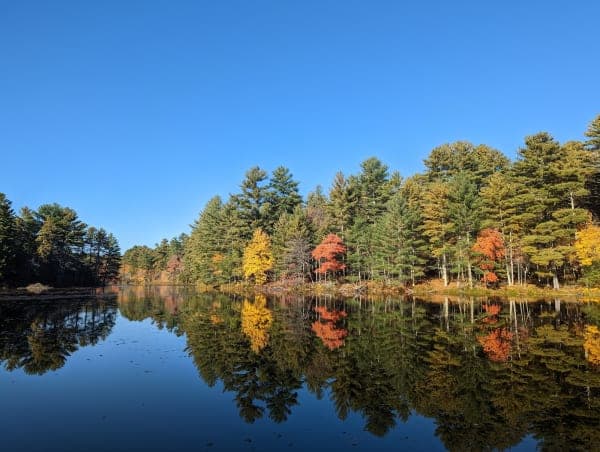 Pulaski Recreation Area