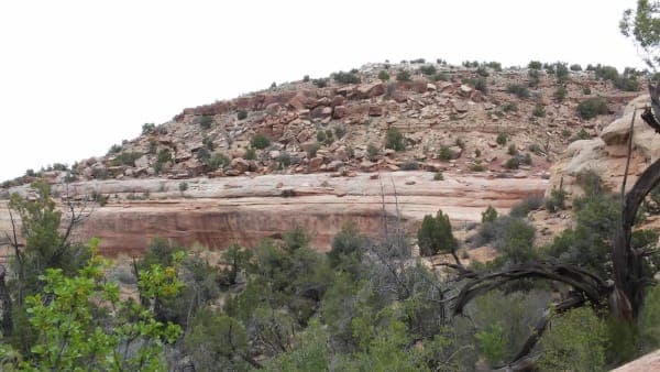 Rabbit Valley Recreation Area BLM
