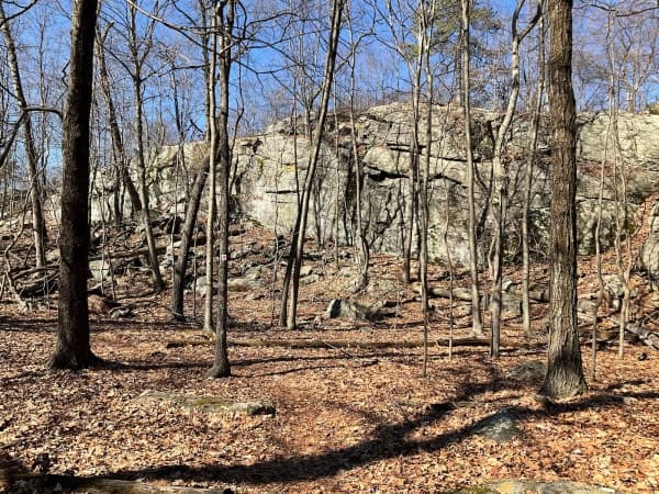 Ramapo Mountain State Forest