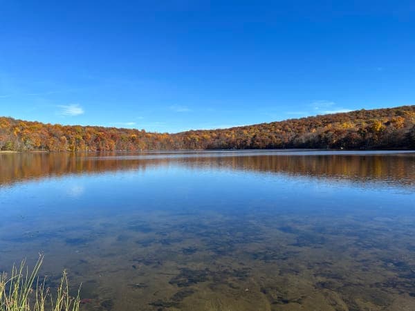 Ringwood State Park
