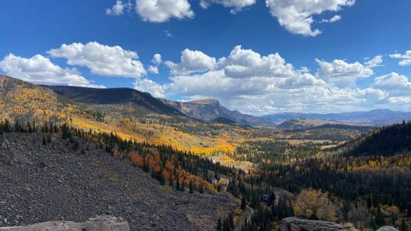 Rio Grande National Forest
