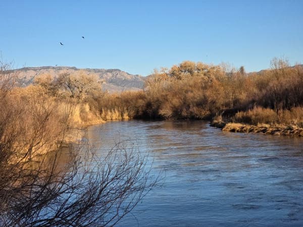 Rio Grande Valley State Park / Paseo del Bosque Trail