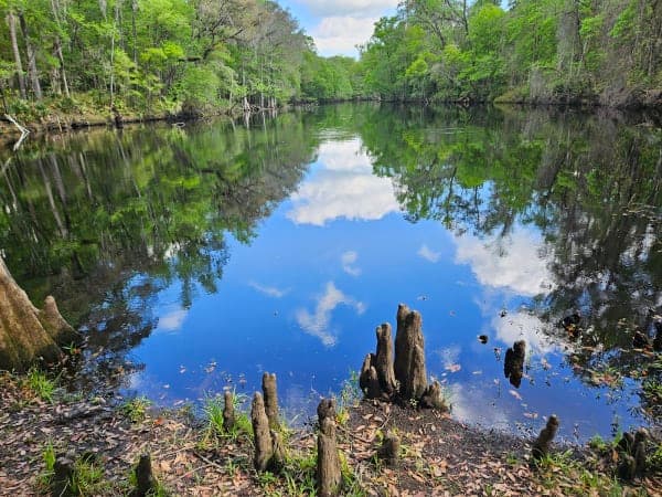 River Rise Preserve State Park